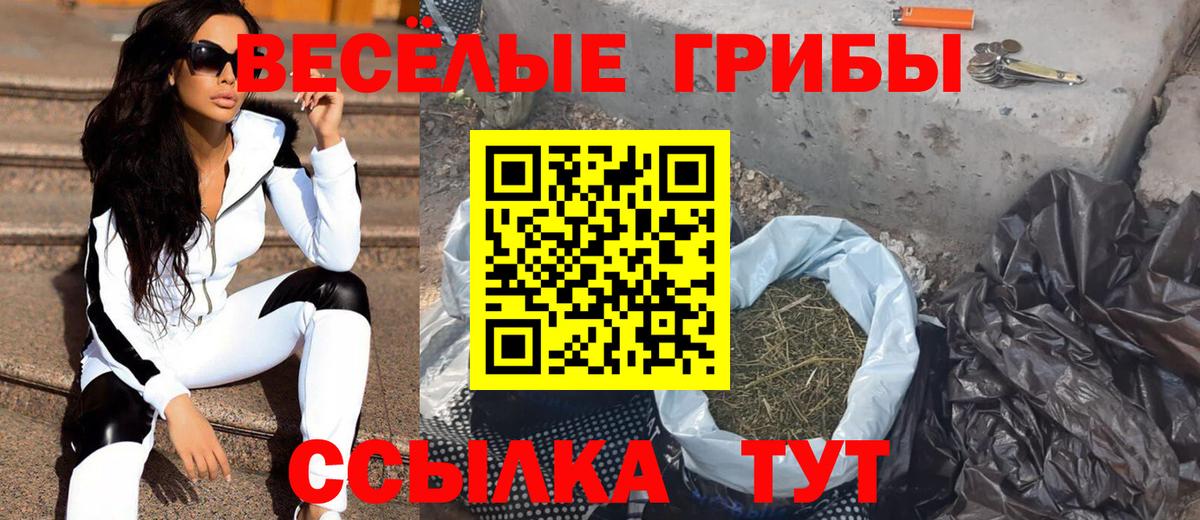 продажа наркотиков  Псилоцибиновые грибы мицелий  Вход с VPN  Торжок  Галлюциногенные грибы ЛСД 
