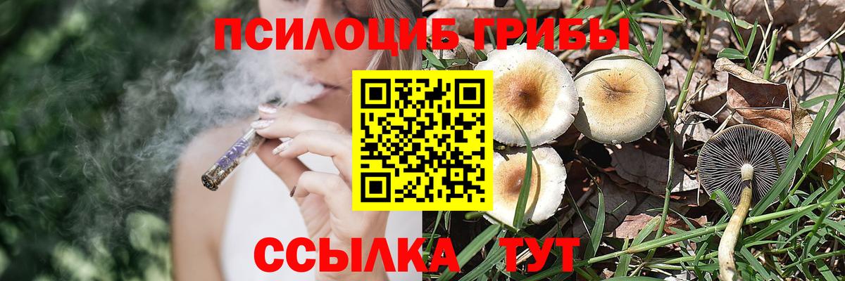 Псилоцибиновые грибы GOLDEN TEACHER  Торжок 