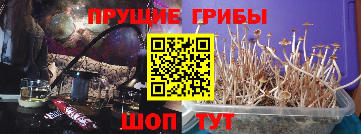 Лсд 25  Вход с VPN  МЕФ   Гашиш  MDMA  Канабис  ГАШ  Торжок  Cocaine 