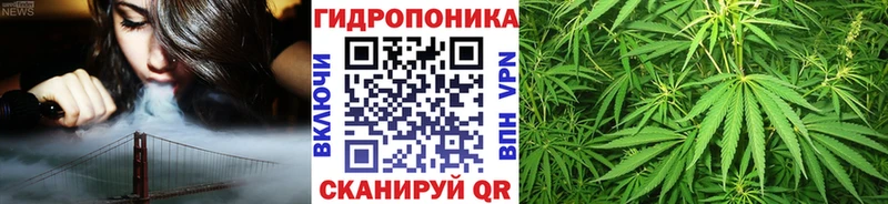 Бошки марихуана VHQ  Торжок 